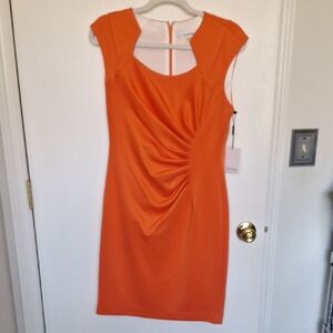 Calvin Klein Fitted Shift Dress NWT size 8